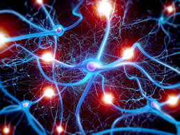 Picture of Nerves for post Diabetes and Foot Pain